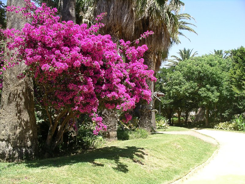 Andalusie 2011 054.JPG